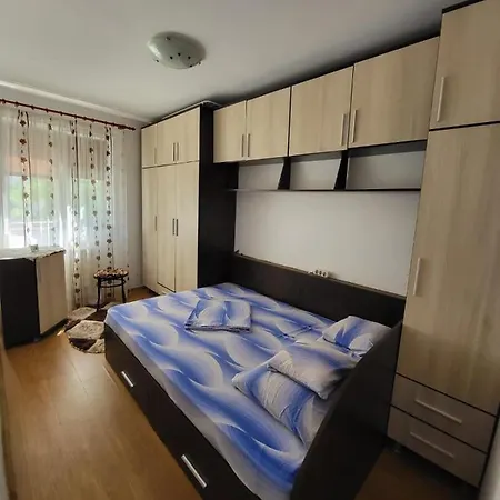 Lägenhet Apartament Oana *
