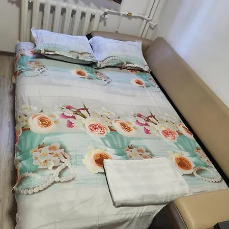Apartament Oana *